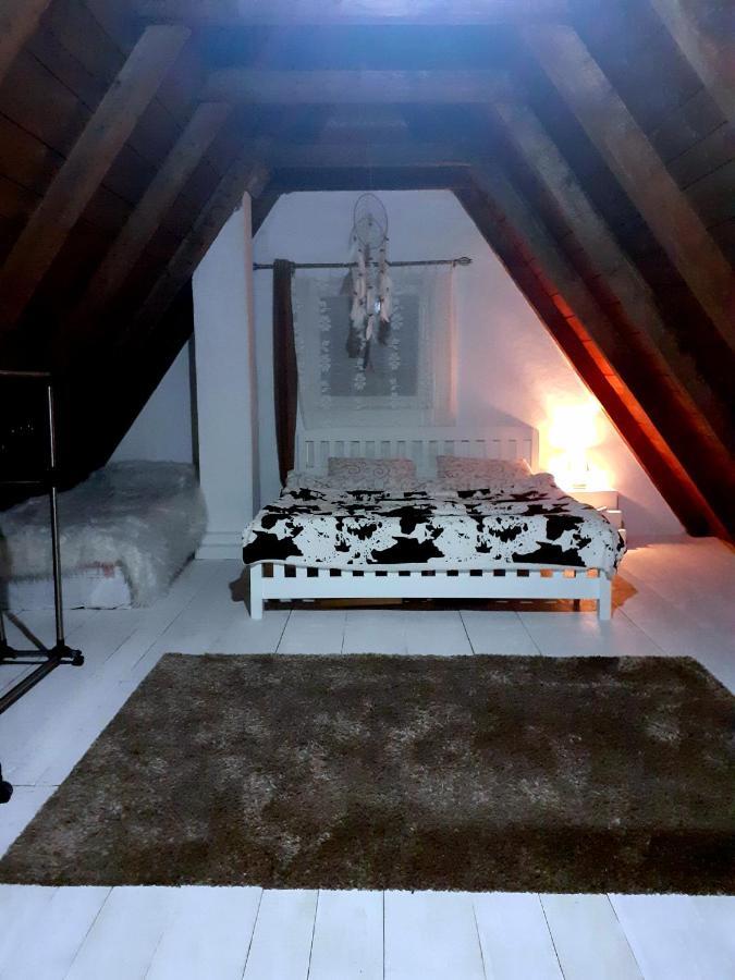 Stay Wild Žabljak Exteriér fotografie