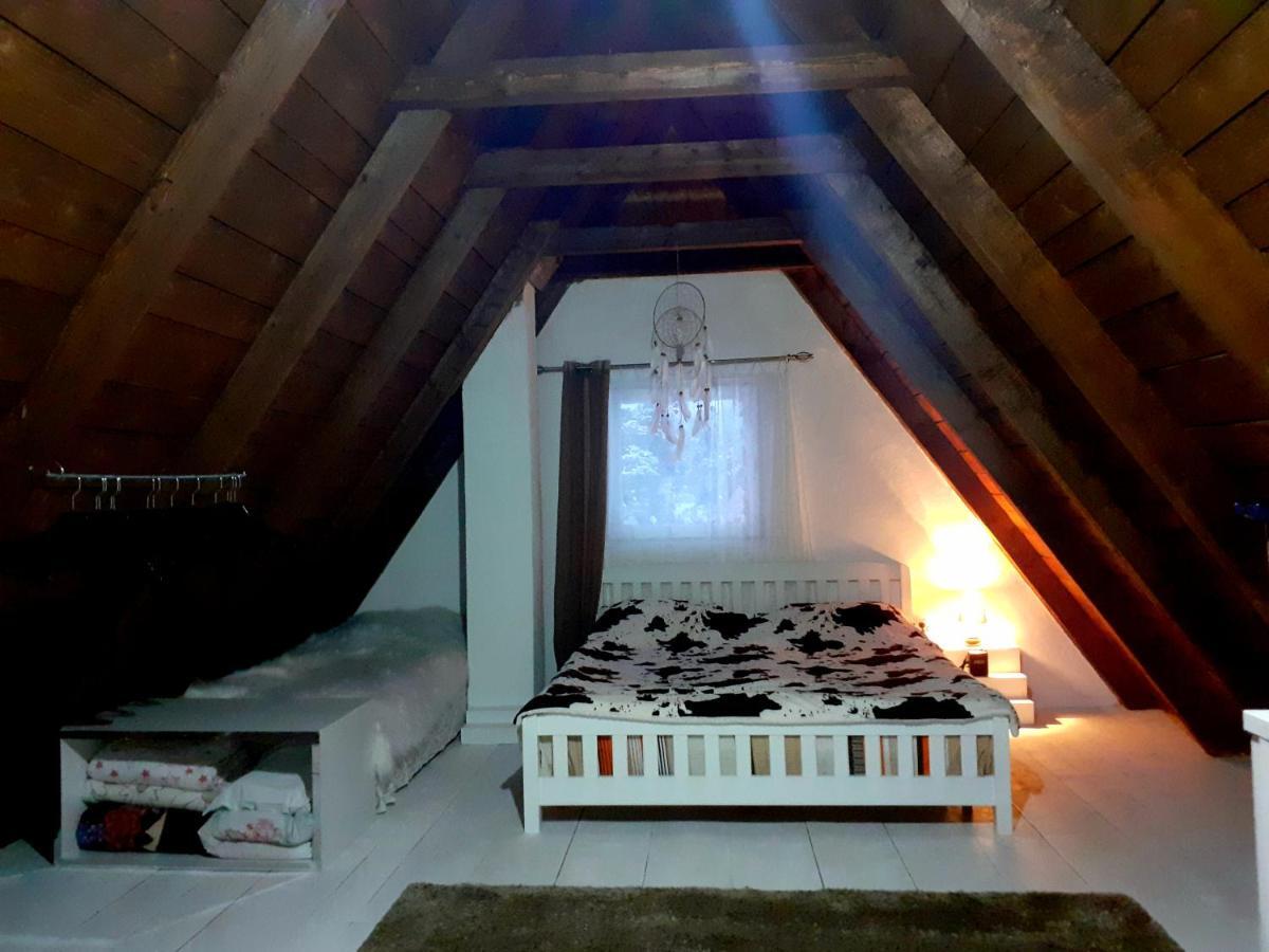 Stay Wild Žabljak Exteriér fotografie